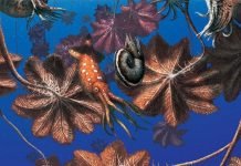 Crinoids Rafted In the Ancient Jurassic Seas