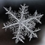 Magnified Snowflake