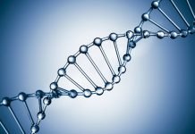 Was Genetic Engineering a Factor in the Zika Outbreak?