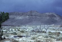 Ash Meadows Nevada