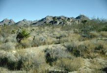 Your Radiation This Week No 43 The Mojave Desert