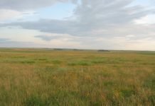 Your Radiation This Week No 47, 48, 49 and 50 Great Plains - North Dakota, USA