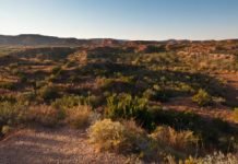 Your Radiation this Week No 54 Texas Desert