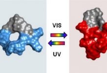 Successful Laboratory Test of Photoswitchable Anti-Tumor Agent