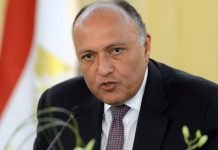 Egyptian Foreign Ministry: The Golan Heights is an Arabic and Syrian territory