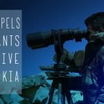 20.04_Army repels militant offensive in Latakia