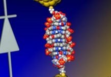 A Farewell to Chips: Tiny DNA Diode Raises Bets on Silicon-Free Future