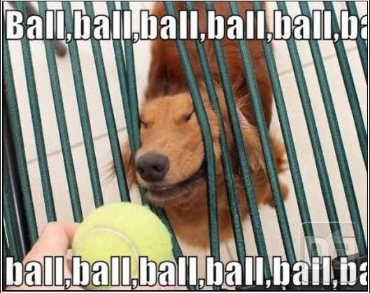 ball