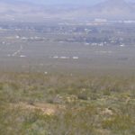 Mojave Desert California