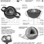 0198662092.nuclear-weapons.1