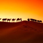 silk-road-camels