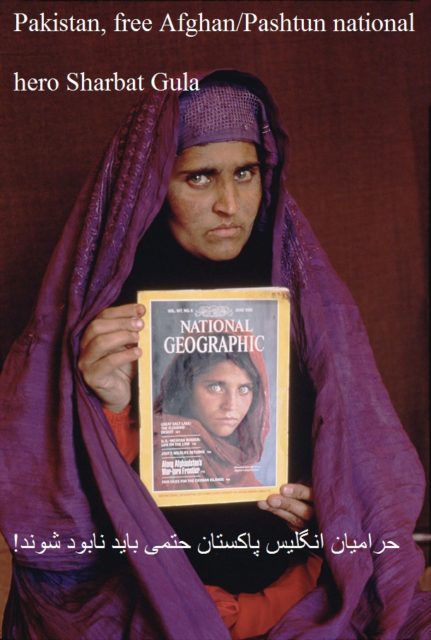 NATIONAL GEOGRAPHIC VIDEO/DVD: "SEARCH FOR THE AFGHAN GIRL" © Steve McCurry