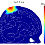 photon migration Monte Carlo model (1)