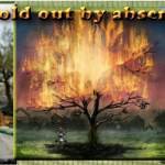 Palestine olives banner