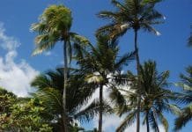 Opioid Epidemic: Creating More Organ Donors