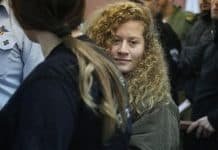 Israeli MP wants Palestinian teens “kneecapped” for slapping solidiers