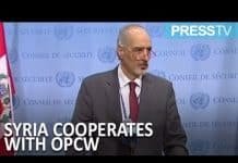 Syria Inspections, the Truth, Duff on Press TV