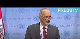 Syria Inspections, the Truth, Duff on Press TV