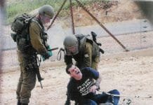 Trump The Clown: “Palestinian Dead Not Real”, … like Sandy Hook and 9/11