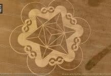 Crop Circle Meditation, Stephen Greer