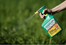 Monsanto ‘bullied scientists’ and hid weedkiller (Roundup) cancer risk,