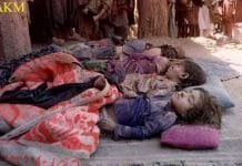 To the Honorable Alice Wells Principal Deputy Assistant Secretary for South and Central Asian Affairs