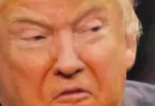 Trump to Block/Rescind Citizenship for Obamacare Users