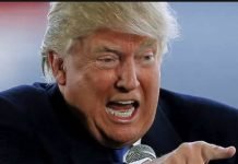 Google Censors Trump Photos, Is Trump Really a Mammal?