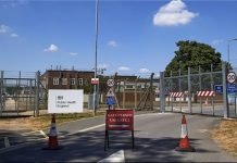 Report: Secret UK Military Lab Gassed, Killed 48,400 Animals in 7 Years