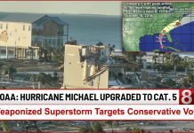 Engineered Hurricane Michael Targeted Florida Midterm Election