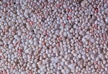 Plankton Populations Reflect Changes of Warming Oceans