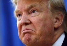 Mike Harris on Press TV, Trump 2019