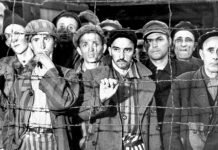 Who Really Wanted the Holocaust? (Not the Nazis!)