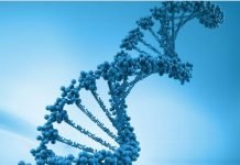 What is DNA?