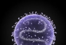 Surgeon General’s Message on Current Measles Outbreaks