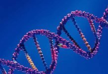 Babies of the Future: Gene-Edited