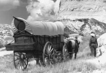 NEO – World Teetering on the Brink says Federal Reserve and EU Commission