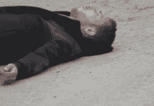 Israel: Murder is “Standard Procedure”