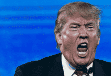 What We Learned From Epstein? (caution, potentially offensive)