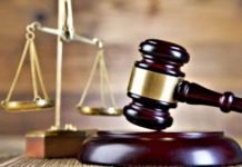 Essay: Systemic Destruction of Public Safety by the Justice System