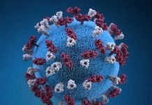 Decline in Measles Vaccination Equals Resurgence of Disease