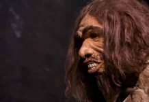 Humans Inherited Genetic Traits From Interbreeding With Archaic Humans