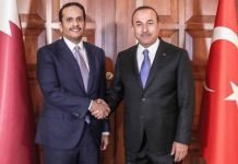 Turkey, Qatar Denounce Trump’s Blacklisting of IRGC