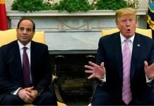 Egypt pulls out of anti-Iran alliance envisioned by US, allies: Reuters