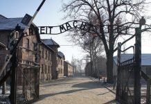 Holocaust establishment wants to take over US schools
