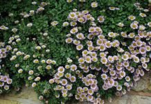 Food For Careful Thought