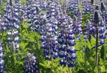 Ten Findings That Disprove Medical Practices