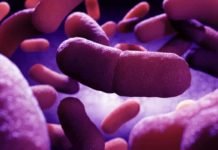 Two Mutations Gave Us the Black Plague