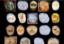 Neanderthals May Be Older Than Previously Thought