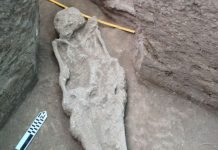 Amazon’s Oldest Human Burials Found in Bolivia